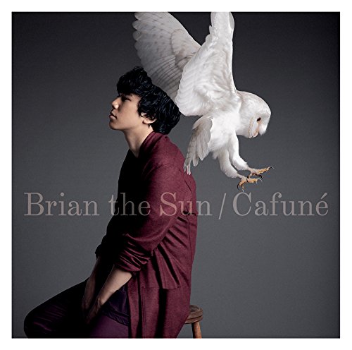 Brian the Sun、TVアニメ